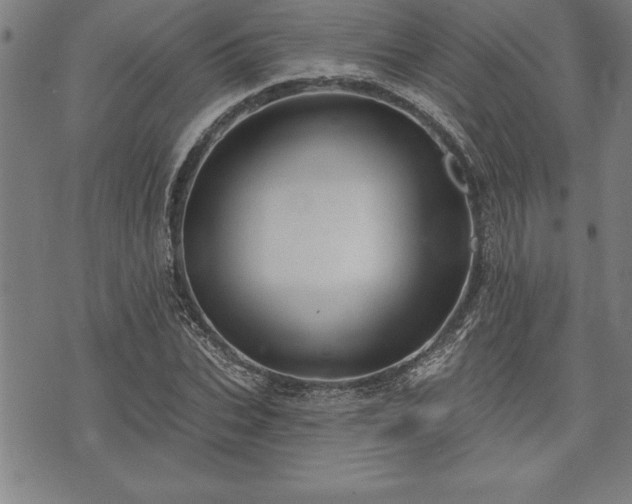 X0000075830927200609221636