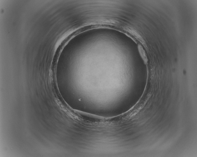 X0000075830928200609221636