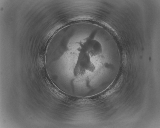 X0000075830929200609221636