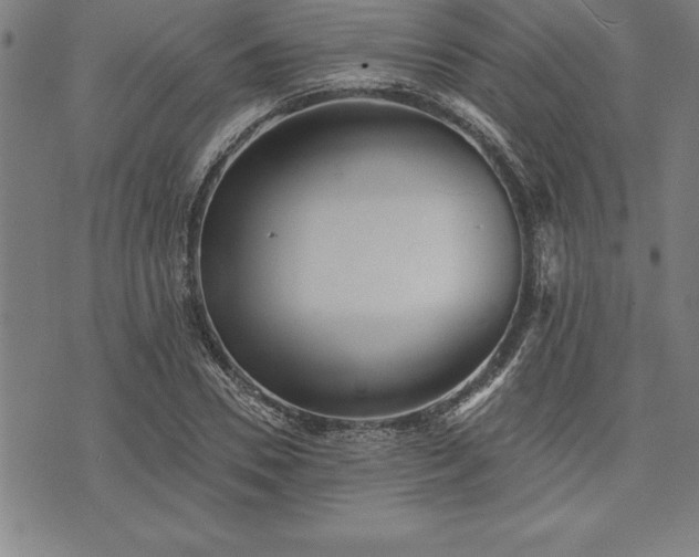 X0000075830930200609221636