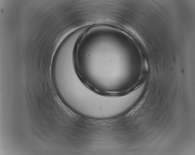 X0000075830932200609221636