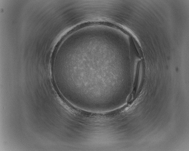 X0000075830935200609221636