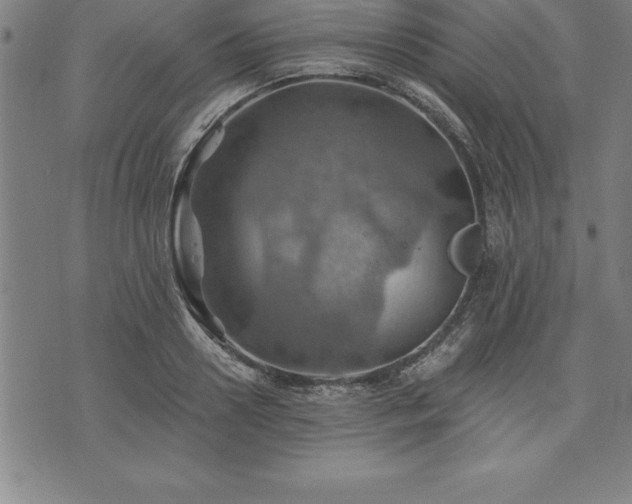 X0000075830938200609221636