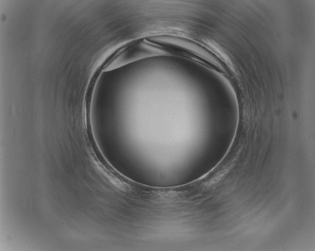 X0000075830940200609221636