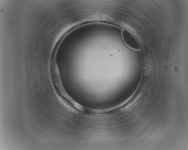 X0000075830942200609221636