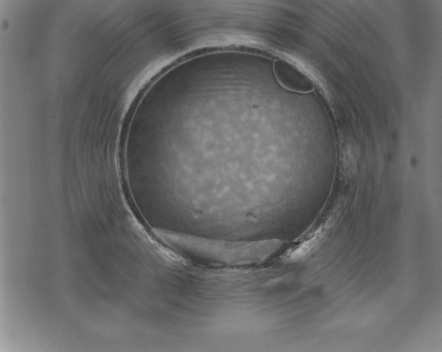 X0000075830943200609221636