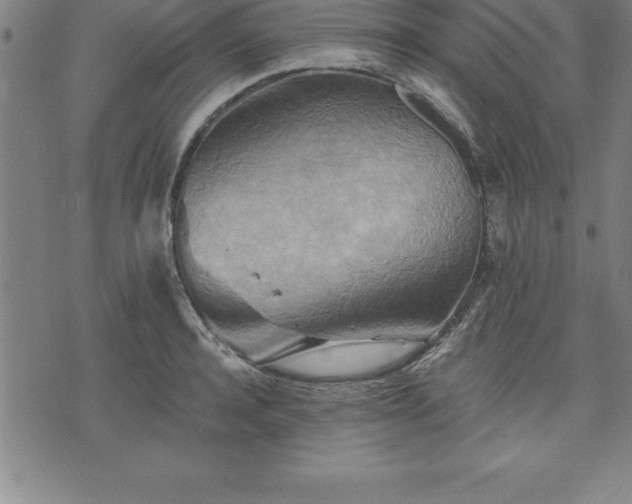 X0000075830944200609221636