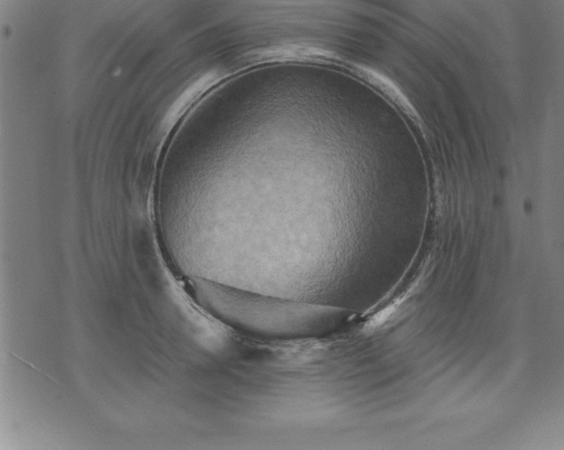 X0000075830946200609221636