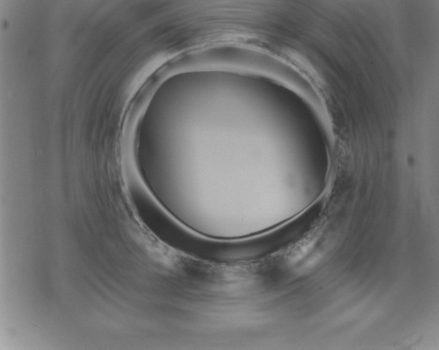 X0000075830948200609221636