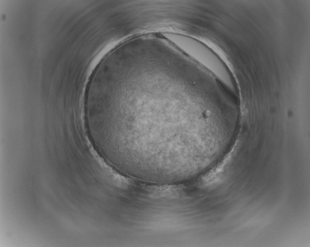 X0000075830949200609221636