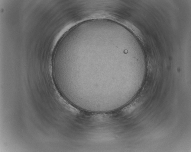 X0000075830950200609221636