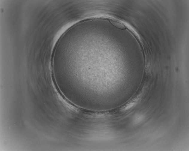 X0000075830951200609221636