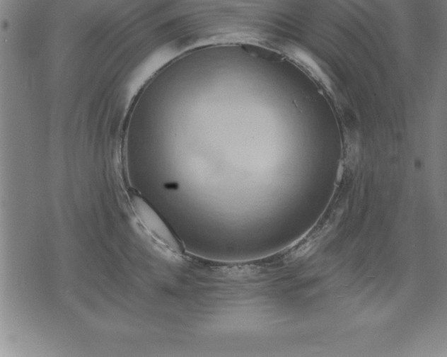 X0000075830952200609221636