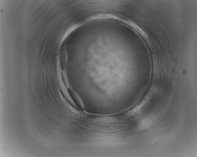 X0000075830953200609221636