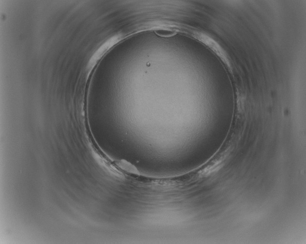 X0000075830954200609221636