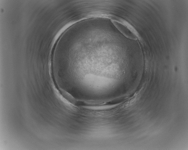 X0000075830955200609221637