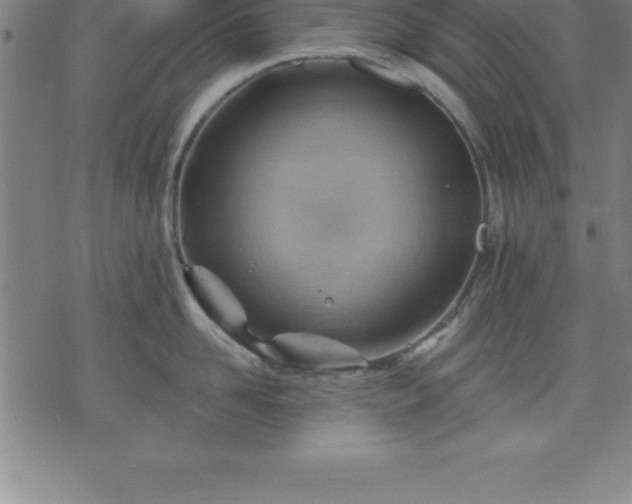 X0000075830958200609221637