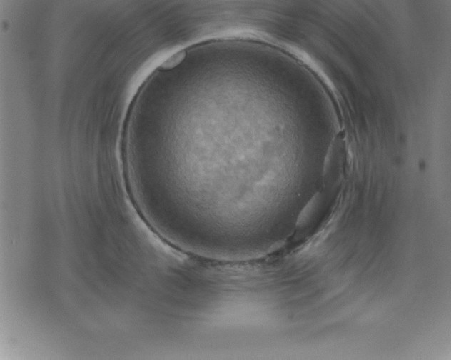 X0000075830959200609221637