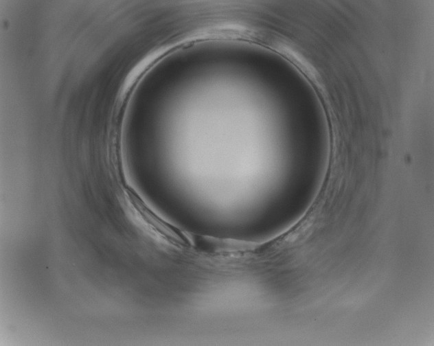 X0000075830960200609221637