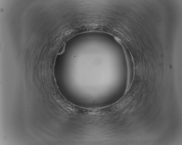 X0000075830961200609221636