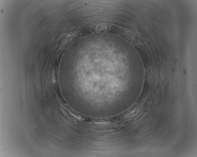 X0000075830962200609221636