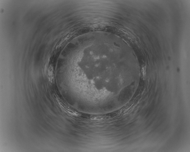 X0000075830963200609221636