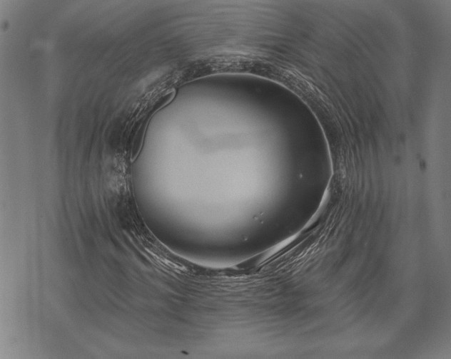 X0000075830964200609221636