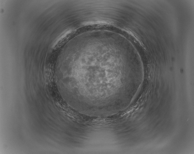 X0000075830967200609221636