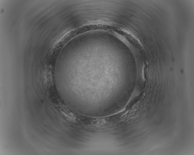 X0000075830968200609221636