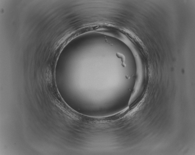 X0000075830969200609221636