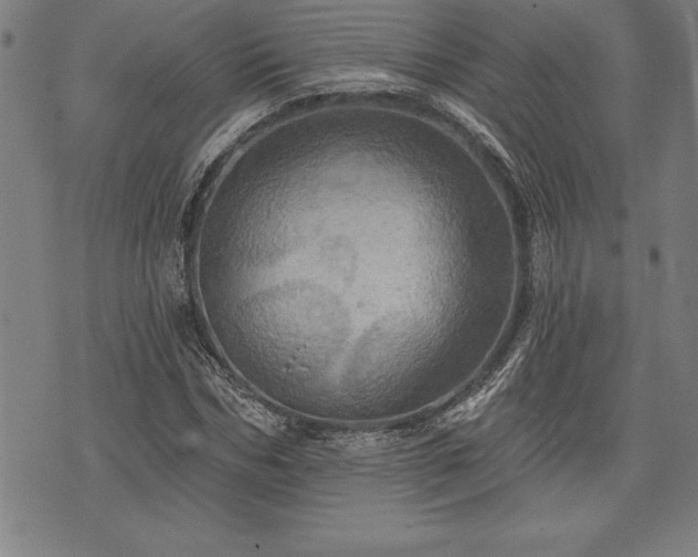 X0000075830970200609221636