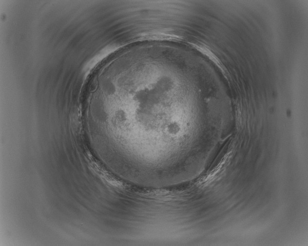 X0000075830971200609221636