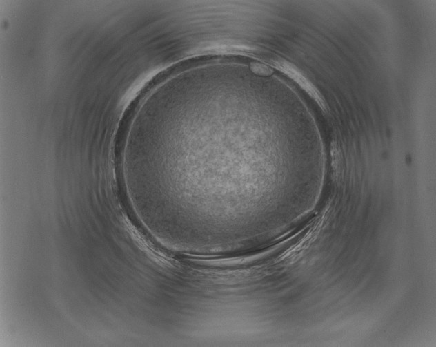 X0000075830972200609221636