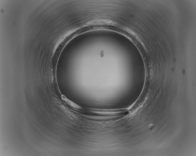 X0000075830973200609221636