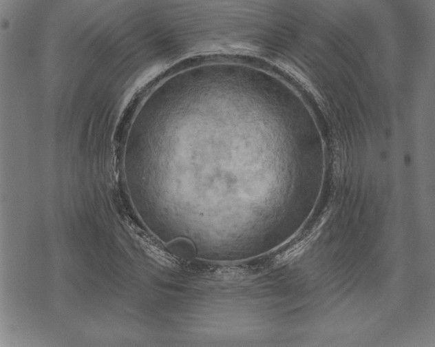 X0000075830974200609221636