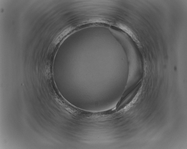 X0000075830977200609221636