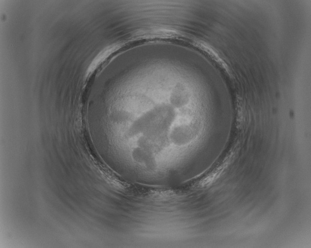 X0000075830978200609221635