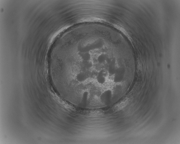 X0000075830979200609221635