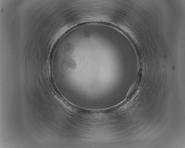 X0000075830982200609221635