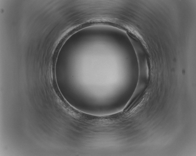 X0000075830984200609221635