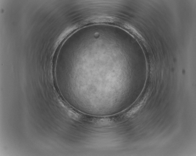 X0000075830986200609221635