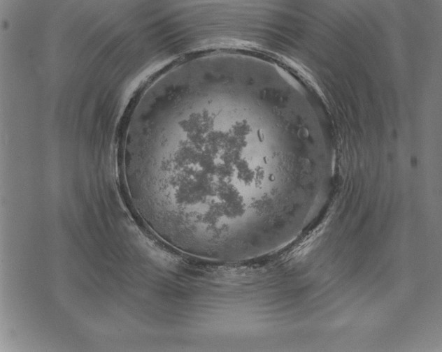 X0000075830987200609221635