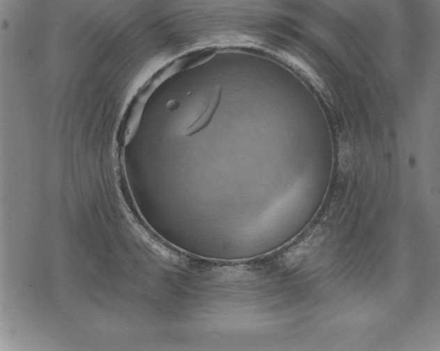 X0000075830990200609221635