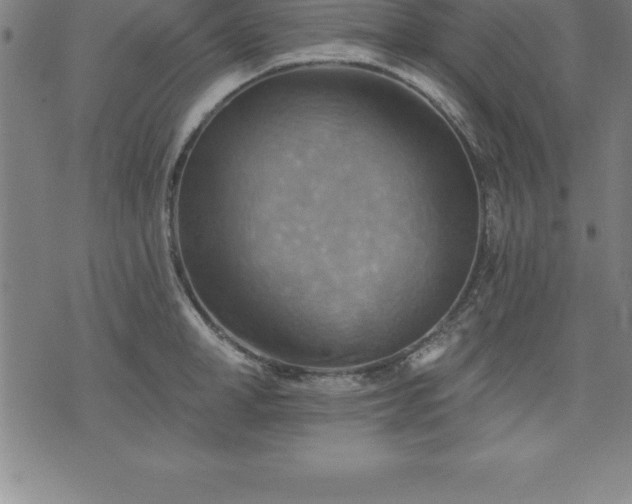 X0000075830998200609221635