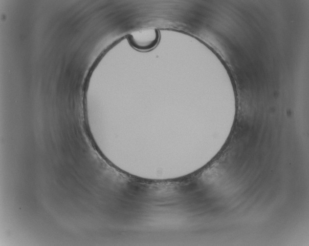 X0000075831000200609221635