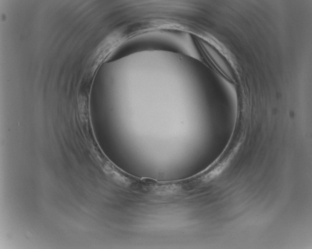 X0000075831001200609221635