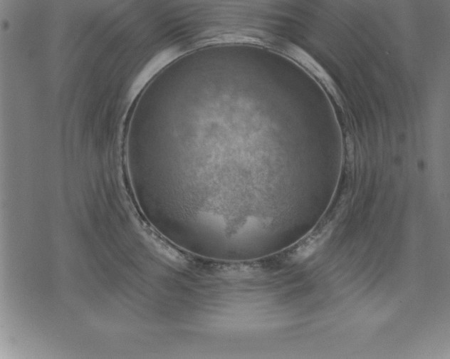 X0000075831002200609221635