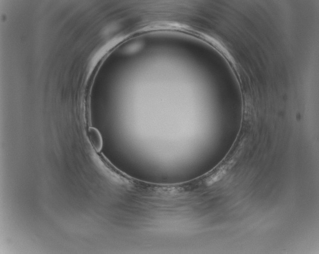 X0000075831003200609221635