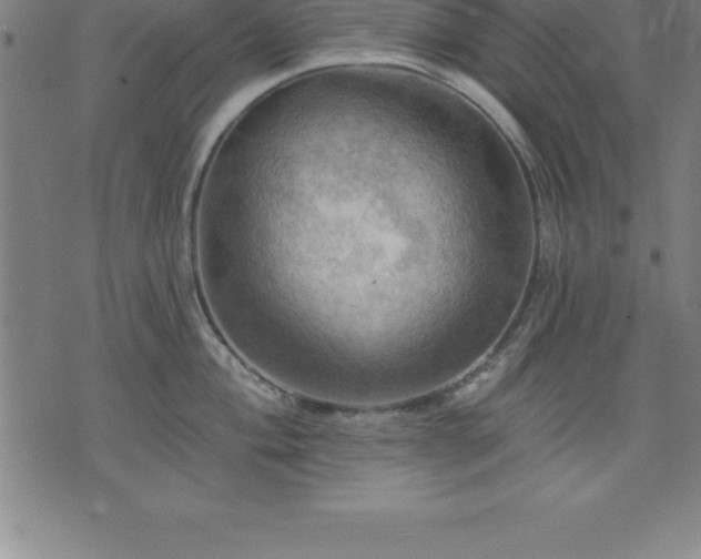 X0000075831004200609221635