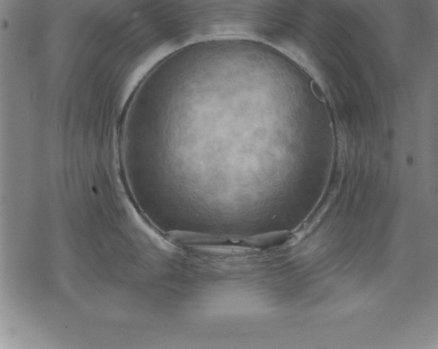 X0000075831006200609221635